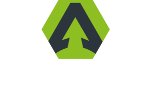 Aldinger Solutions Logo vertical hell